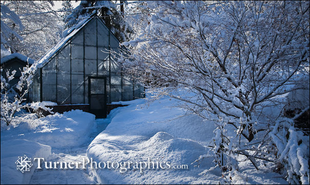 Winter garden in Spokane