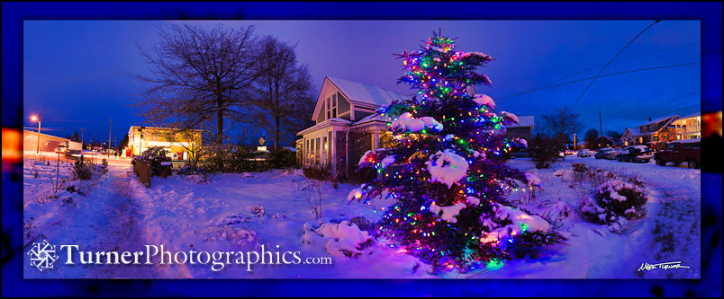 Outside Christmas Tree Panoramic