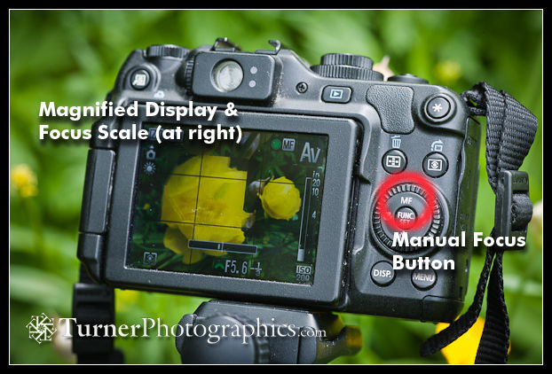 Canon G12  Manual Focus Display