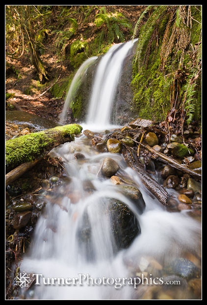 1300151 Unnamed waterfall along Interurban Trail. Interurban Trail, Bellingham, WA. © Mark Turner