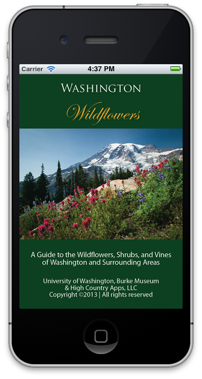 Washington Wildflowers launch screen