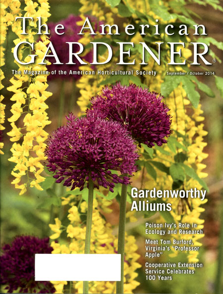 American Gardener Cover