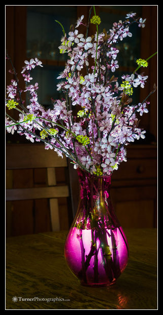 Purple-leaf Plum blossoms in red vase