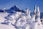 0024096 Mt. Shuksan in winter, framed by snow-covered Sub-alpine Firs. Mt. Baker-Snoqualmie NF Artist Point, WA. © Mark Turner