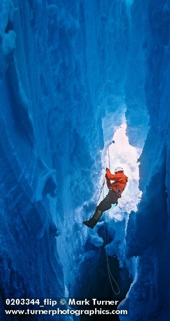 0203344 Craig Butler prusiks up rope in glacial crevasse. Mt. Baker Rec. Area Easton Glacier, WA. © Mark Turner