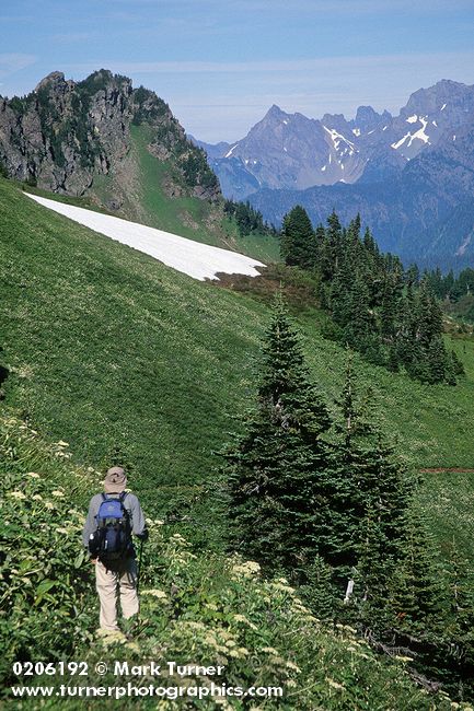 0206192 Nathan Reed day hiking on Church Mtn Tr. Mt. Baker-Snoqualmie NF Church Mtn, WA. © Mark Turner