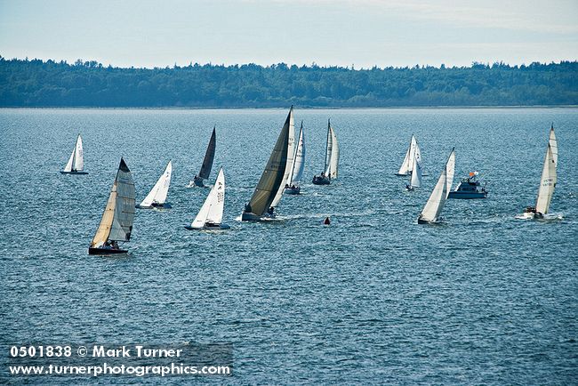 0501838 Sailboats on Bellingham Bay, Wednesday evening race series. Bellingham, WA. © Mark Turner