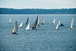 0501838 Sailboats on Bellingham Bay, Wednesday evening race series. Bellingham, WA. © Mark Turner