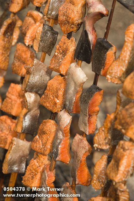 0504378 Barbequed salmon cooking, Lummi Stommish. Lummi Nation, WA. © Mark Turner