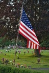 0509355 American flag in cemetary at sunset. Greenacres, Ferndale, WA. © Mark Turner