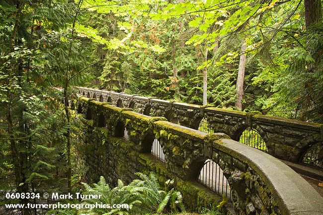 0608334 Stone bridge over Whatcom Cr [Acer macrophyllum; Polystichum munitum; Thuja plicata]. Bellingham, Whatcom Falls Park, WA. © Mark Turner