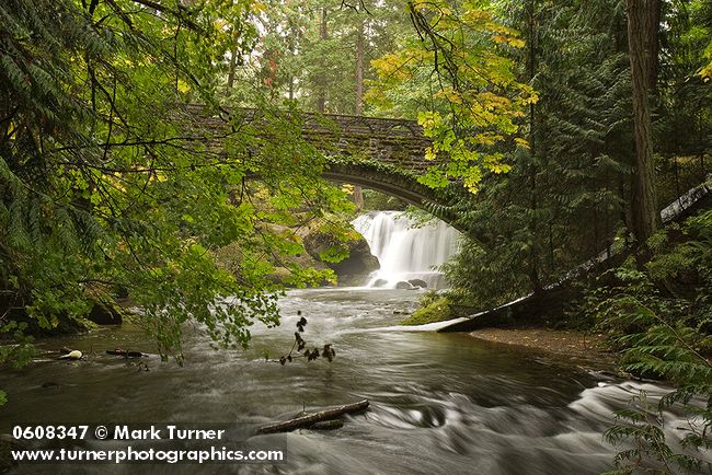 0608347 Whatcom Falls framed by stone bridge, autumn [Acer circinatum; A. macrophyllum]. Bellingham, Whatcom Falls Park, WA. © Mark Turner