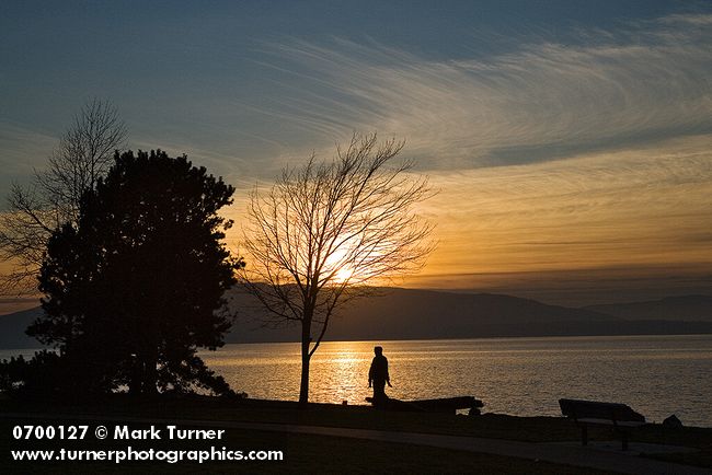 0700127 Sunset over Bellingham Bay w/ silhouette of person walking along shore under bare tree. Bellingham, Boulevard Park, WA. © Mark Turner