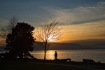 0700127 Sunset over Bellingham Bay w/ silhouette of person walking along shore under bare tree. Bellingham, Boulevard Park, WA. © Mark Turner