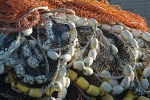 0700216 Fishing nets, Squalicum Harbor. Bellingham, WA. © Mark Turner