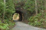 0700302 Tunnel through Chuckanut sandstone, framed by Sword Ferns & Western Red Cedars [Polystichum munitum; Thuja plicata]. Bellingham, Sehome Hill Arboretum, WA. © Mark Turner