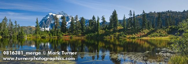 0816383 Mt. Shuksan reflected in Highwood Lake w/ Mountain Hemlocks [pan 5 of 5] [Tsuga mertensiana]. Mt. Baker-Snoqualmie NF Heather Meadows, WA. © Mark Turner