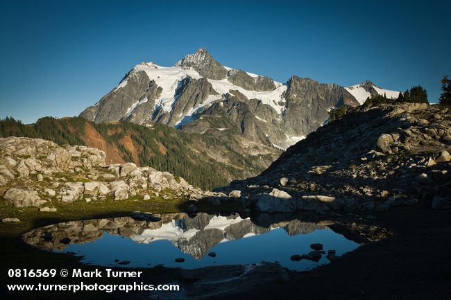 0816569 Mt. Shuksan reflected in tarn on Artist Ridge. Mt. Baker-Snoqualmie NF Artist Point, WA. © Mark Turner