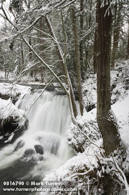 0816790 Whatcom Falls fr bridge, winter w/ snow [pan 1 of 6]. Whatcom Falls Park, Bellingham, WA. © Mark Turner