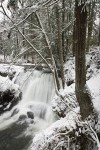 0816790 Whatcom Falls fr bridge, winter w/ snow [pan 1 of 6]. Whatcom Falls Park, Bellingham, WA. © Mark Turner