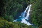 1005571 Nooksack Falls from across Wells Creek. Mt. Baker-Snoqualmie NF, WA. © Mark Turner