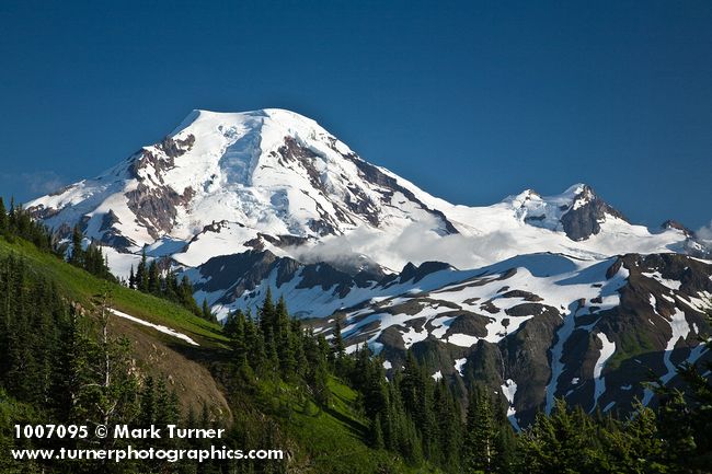 1007095 Mt. Baker fr Skyline Divide [Abies lasiocarpa]. Mt. Baker Wilderness Skyline Divide, WA. © Mark Turner