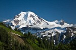 1007095 Mt. Baker fr Skyline Divide [Abies lasiocarpa]. Mt. Baker Wilderness Skyline Divide, WA. © Mark Turner