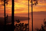 9611843 Sunset through trees over Larrabee SP & San Juan Islands fr Cleator Rd. Larrabee SP, WA. © Mark Turner