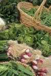 9706509 Baskets of fresh organic produce: peas, lettuce, red onions. Bellingham Farmer's Market, WA. © Mark Turner