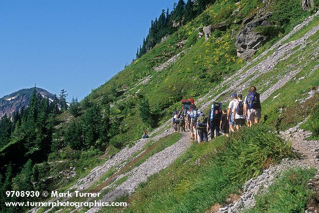 9708930 Group of backpackers heading to Ptarmigan Ridge on Chain Lakes Tr. Mt. Baker Wilderness, WA. © Mark Turner