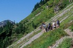 9708930 Group of backpackers heading to Ptarmigan Ridge on Chain Lakes Tr. Mt. Baker Wilderness, WA. © Mark Turner