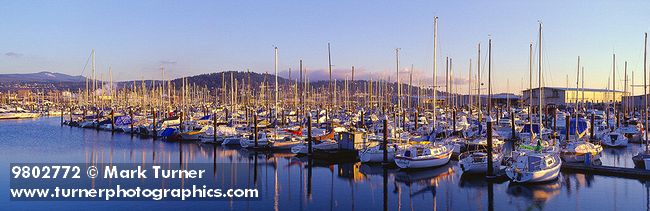 9802772 Sailboats moored in Squalicum Harbor at sunset. Bellingham, Squalicum Harbor, WA. © Mark Turner