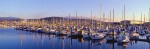 9802772 Sailboats moored in Squalicum Harbor at sunset. Bellingham, Squalicum Harbor, WA. © Mark Turner