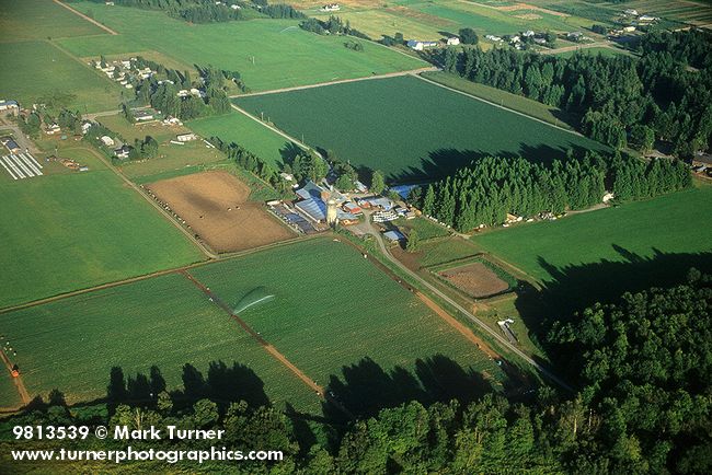 9813539 Dairy farm w/ barns surrounded by corn & other crops, aerial. Whatcom Co., WA. © Mark Turner