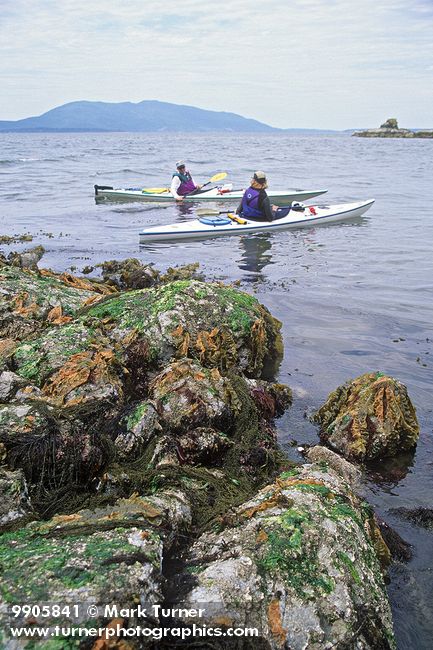 9905841 Sea kayakers exploring rocky shoreline at low tide. Larrabee SP, WA. © Mark Turner