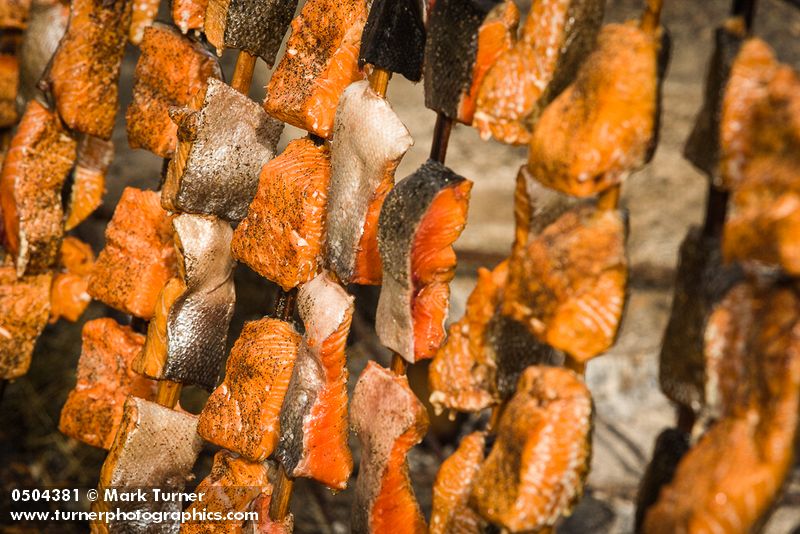 0504381 Barbequed salmon cooking, Lummi Stommish. Lummi Nation, WA. © Mark Turner