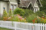 0714462 Purpletop Vervain, 'Hot Biscuits' Amaranth, Cosmos, 'Sarabande' Maiden Grass, 'Oklahoma' Zinnias in border by white picket fence w/ home bkgnd [Verbena bonariensis; Amaranthus cruentus 'Hot Biscuits'; Cosmos 'Summer Dreams'; Cosmos bipinnatus 'Double Click'; Miscanthus sinensis 'Sarabande'; Zinnia elegans 'Oklahoma']. Hovander Homestead Park, Ferndale, WA. © Mark Turner