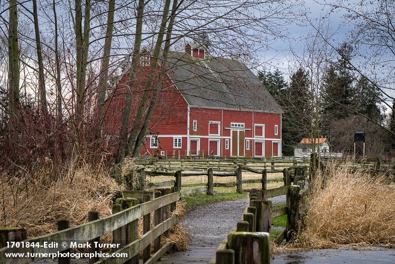 Hovander Homestead Park barn, framed by bare red alders [Alnus rubra]. Hovander Homestead Park, Ferndale, WA. © Mark Turner [1701844]