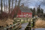 Hovander Homestead Park barn, framed by bare red alders [Alnus rubra]. Hovander Homestead Park, Ferndale, WA. © Mark Turner [1701844]