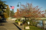 American Flag at Riverwalk Park. Ferndale, WA. © Mark Turner [2012652]