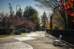 Riverwalk Park. Ferndale, WA. © Mark Turner [2012660]