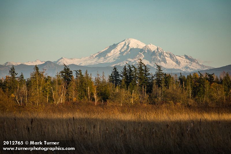 Mt. Baker view from Tennant Lake Park. Ferndale, WA. © Mark Turner [2012765]