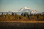 Mt. Baker view from Tennant Lake Park. Ferndale, WA. © Mark Turner [2012765]