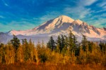 Mt. Baker view from Tennant Lake Park. Ferndale, WA. © Mark Turner [2012767]