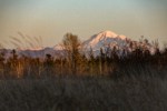 Mt. Baker view from Tennant Lake Park. Ferndale, WA. © Mark Turner [2012777]