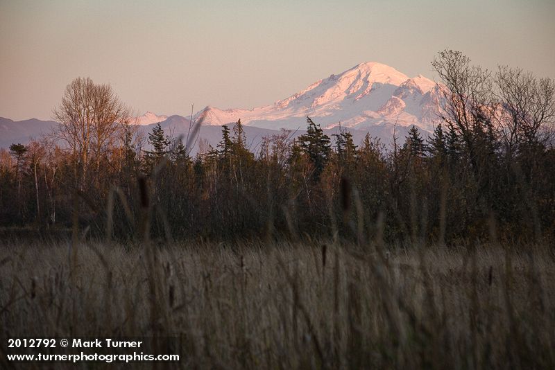 Mt. Baker view from Tennant Lake Park. Ferndale, WA. © Mark Turner [2012792]