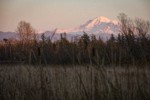 Mt. Baker view from Tennant Lake Park. Ferndale, WA. © Mark Turner [2012792]