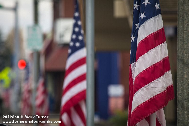 American flags on Ferndale Main Street in honor of Veteran's Day. Ferndale, WA. © Mark Turner [2012850]