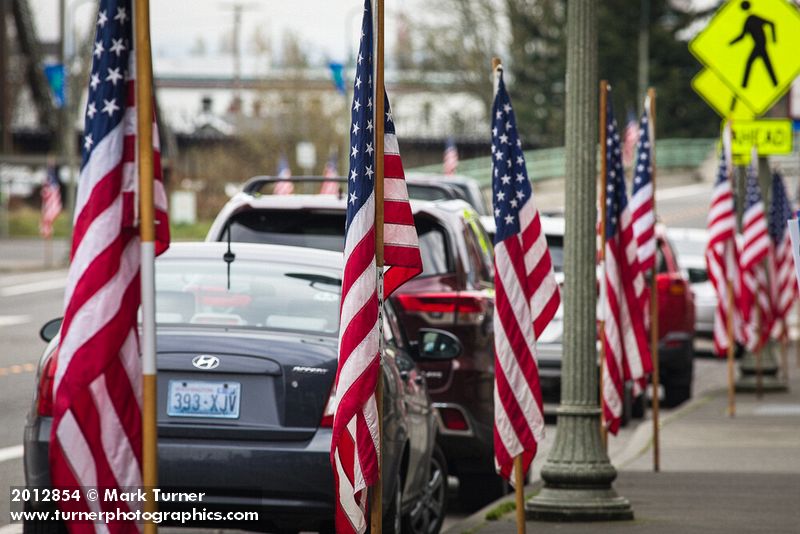 American flags on Ferndale Main Street in honor of Veteran's Day. Ferndale, WA. © Mark Turner [2012854]