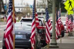 American flags on Ferndale Main Street in honor of Veteran's Day. Ferndale, WA. © Mark Turner [2012854]